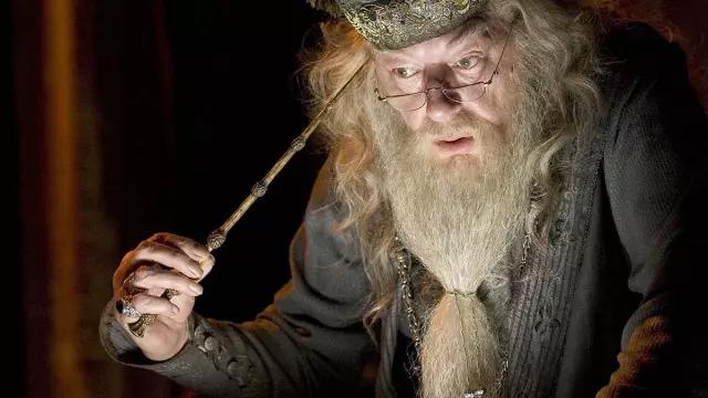 Magic Wand used by Professor Albus Dumbledore (Michael Gambon) as seen in Harry Potter and the Goblet of Fire